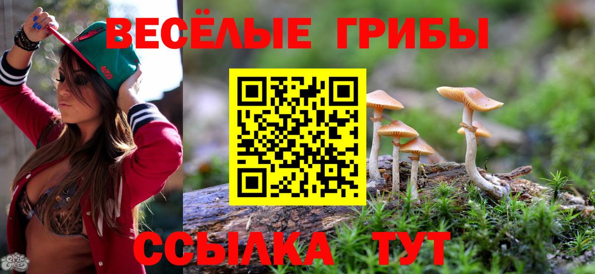 Псилоцибиновые грибы Cubensis  Вход с VPN  закладки  Сосновый Бор 