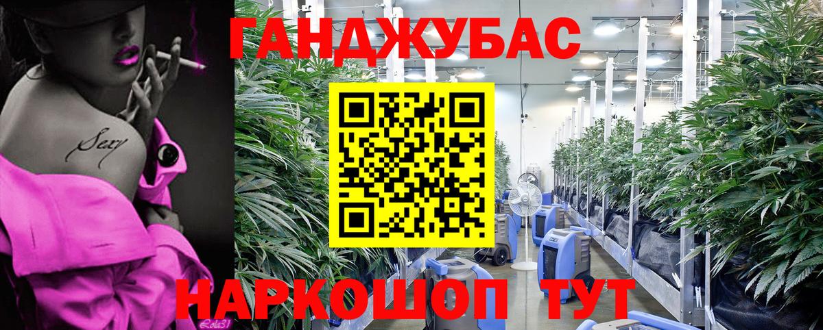 Сосновый Бор  МАРИХУАНА план  Конопля план  Вход с VPN  Бошки марихуана ГИДРОПОН  МАРИХУАНА план 
